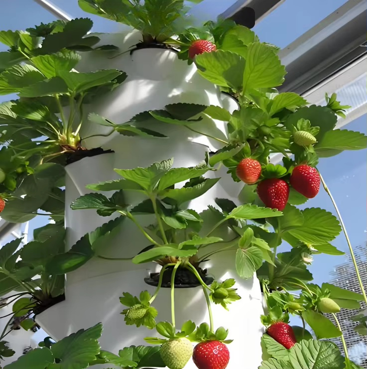 Sistema modular de cultivo hid - Urban Farming Urban Gardening reseña y precio